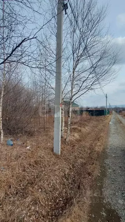 Участок в Приморский край, Надеждинский район, Земляничка-3 СНТ ул. ... - Фото 0