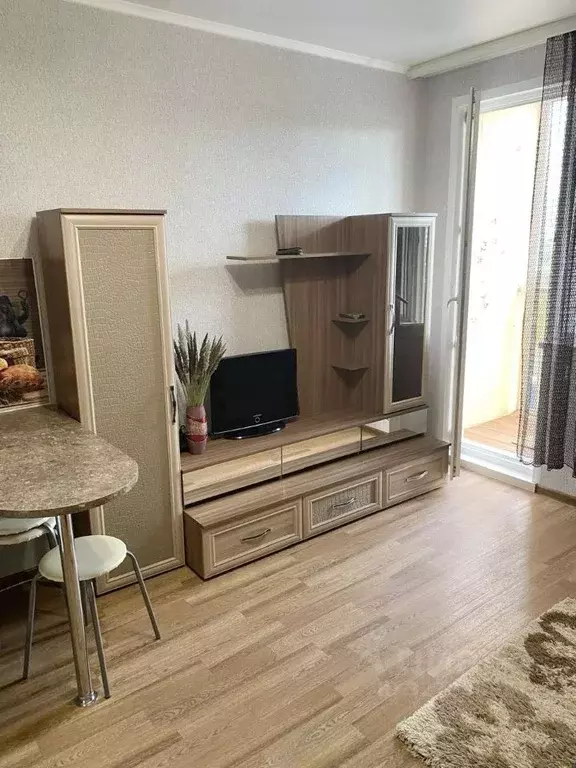 Студия Пензенская область, Пензенский район, Засечный сельсовет, с. ... - Фото 2