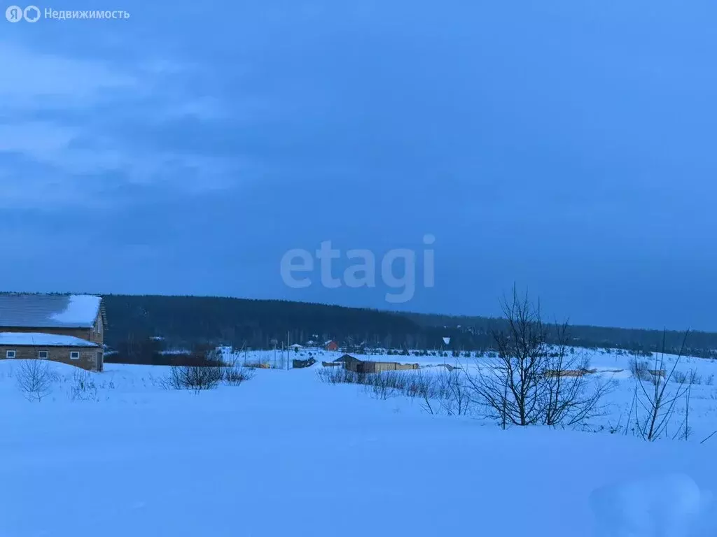 Участок в Республика Мордовия, село Кочкурово (20 м) - Фото 1