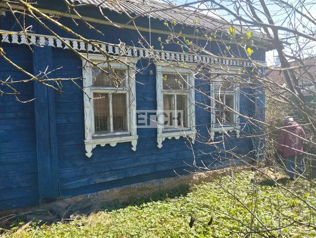 Продается дом в д. Васнево - Фото 1