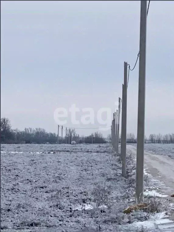 Участок в Ростовская область, Мясниковский район, Краснокрымское ... - Фото 0