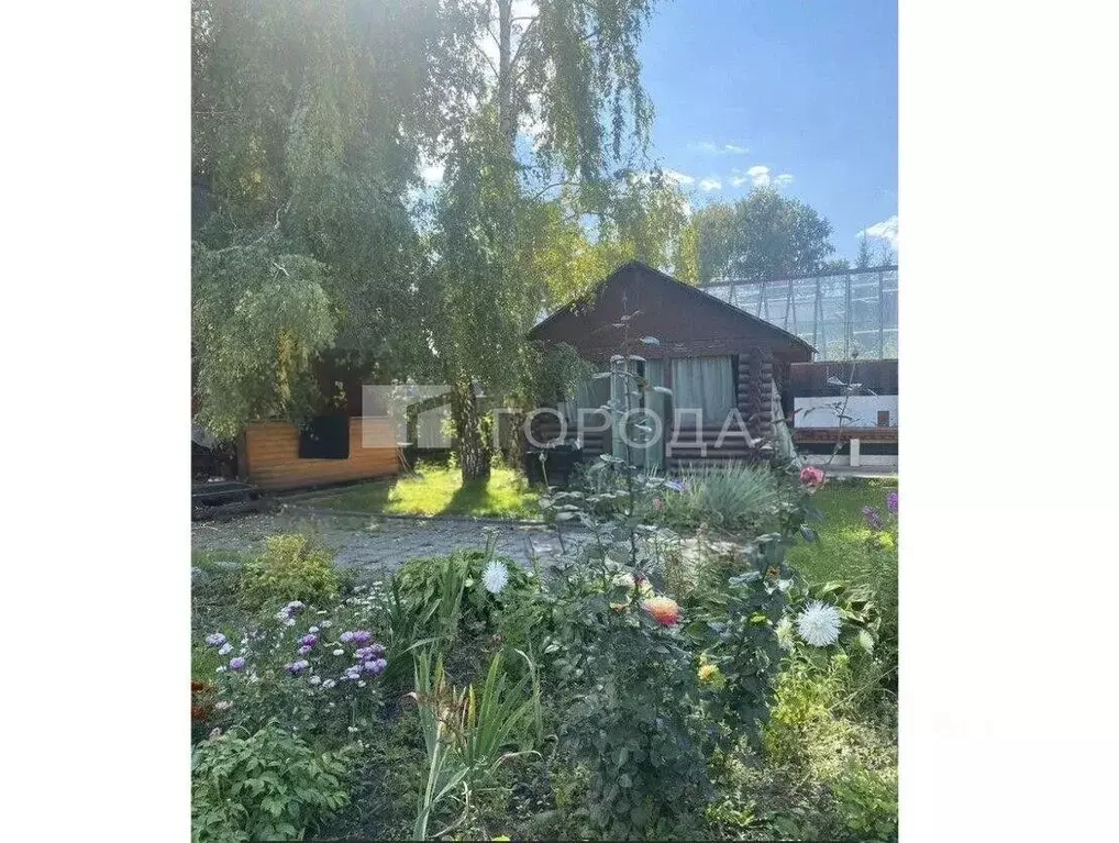 Участок в Новосибирская область, Новосибирский район, Морской ... - Фото 1