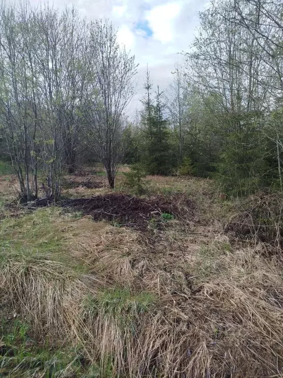Участок в Московская область, Клин городской округ, д. Марино  (10.28 ... - Фото 1