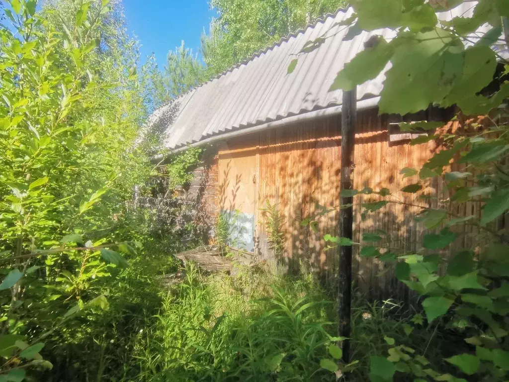 Участок 10 сот. (СНТ, ДНП) - Фото 0