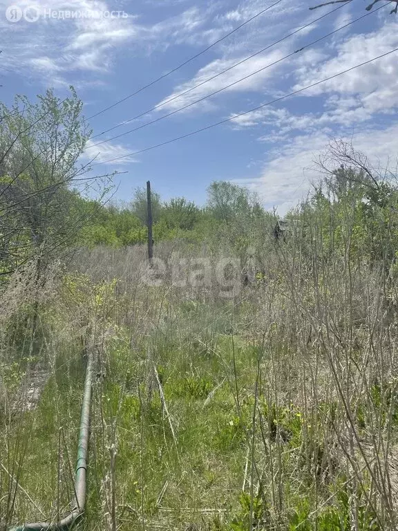 Участок в Оренбург, СНТ Мичуринец-50 (9.7 м) - Фото 1