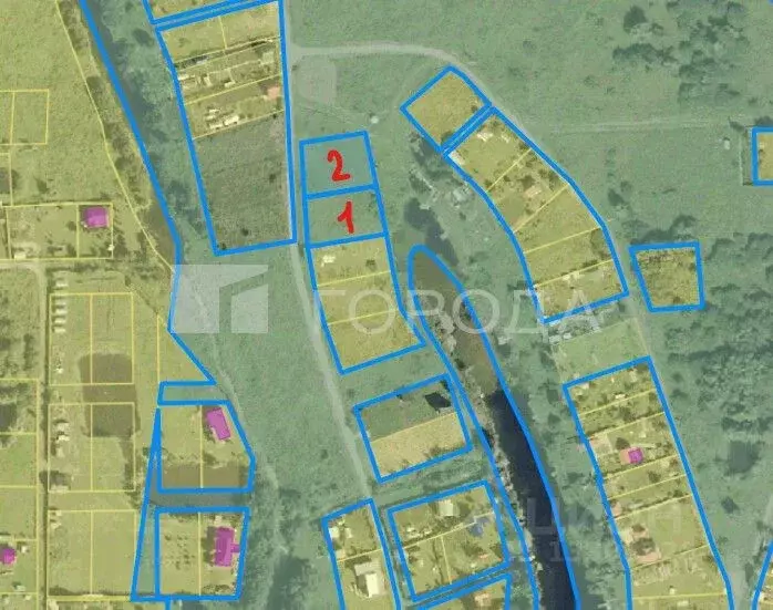 Участок в Новосибирская область, Колыванский район, Проектировщик СНТ  ... - Фото 2