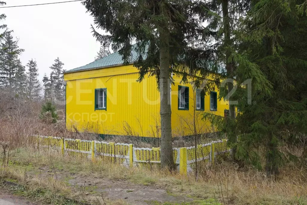 Помещение свободного назначения в Калининградская область, ... - Фото 1