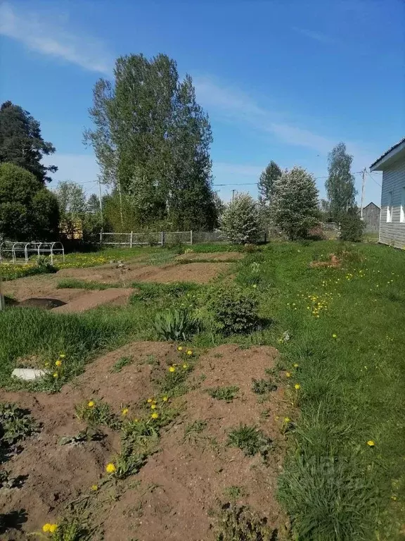 Участок в Ленинградская область, Приозерский район, Ларионовское ... - Фото 0