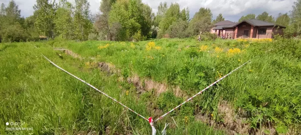 Участок в Санкт-Петербург, Санкт-Петербург, Павловск дор. Пограничная ... - Фото 1