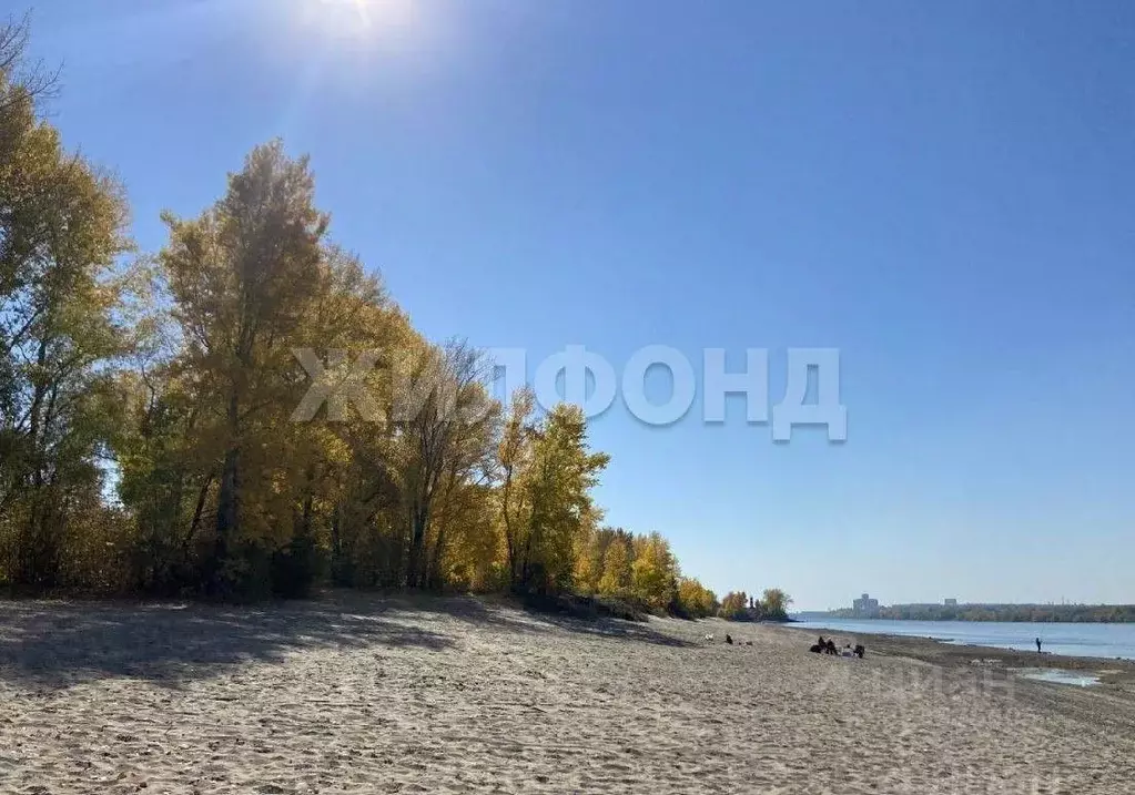 Дом в Новосибирская область, Новосибирск Молодость СНТ, ул. Вишневая ... - Фото 1