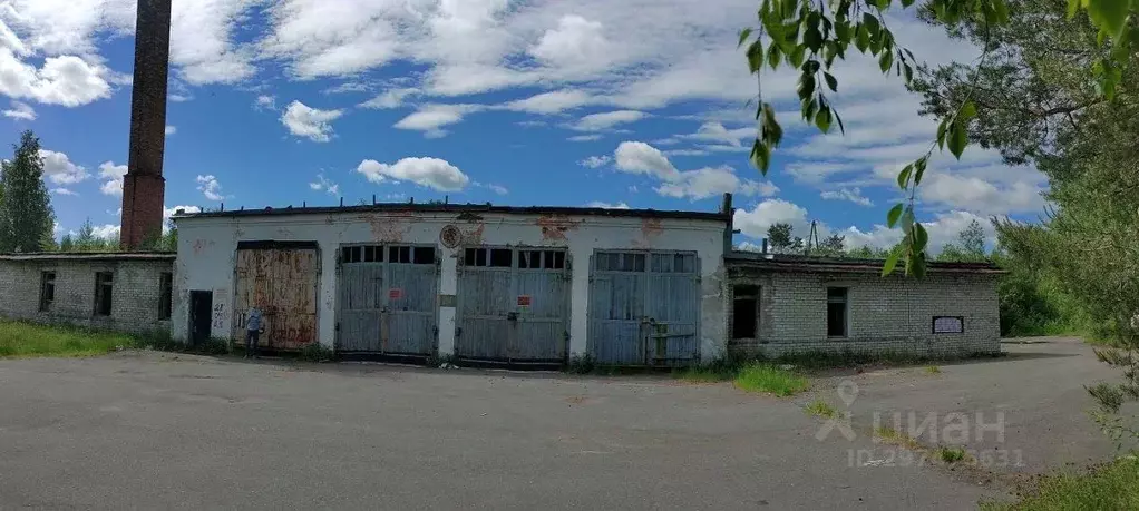 Помещение свободного назначения в Карелия, Беломорский муниципальный ... - Фото 1