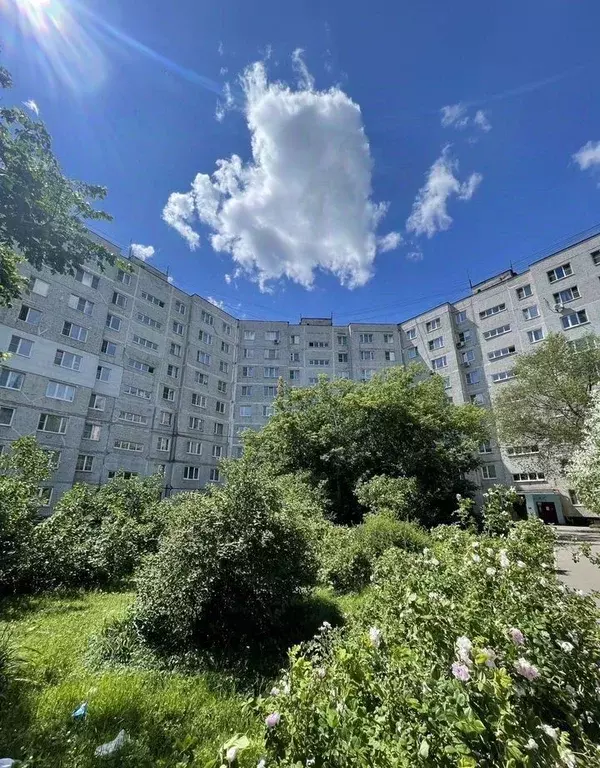 3-к кв. Московская область, Щелково Пролетарский просп., 12 (63.0 м) - Фото 1