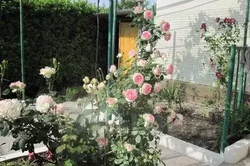 Дом в Крым, Алупка ул. Имени Братьев Говыриных (52 м) - Фото 0