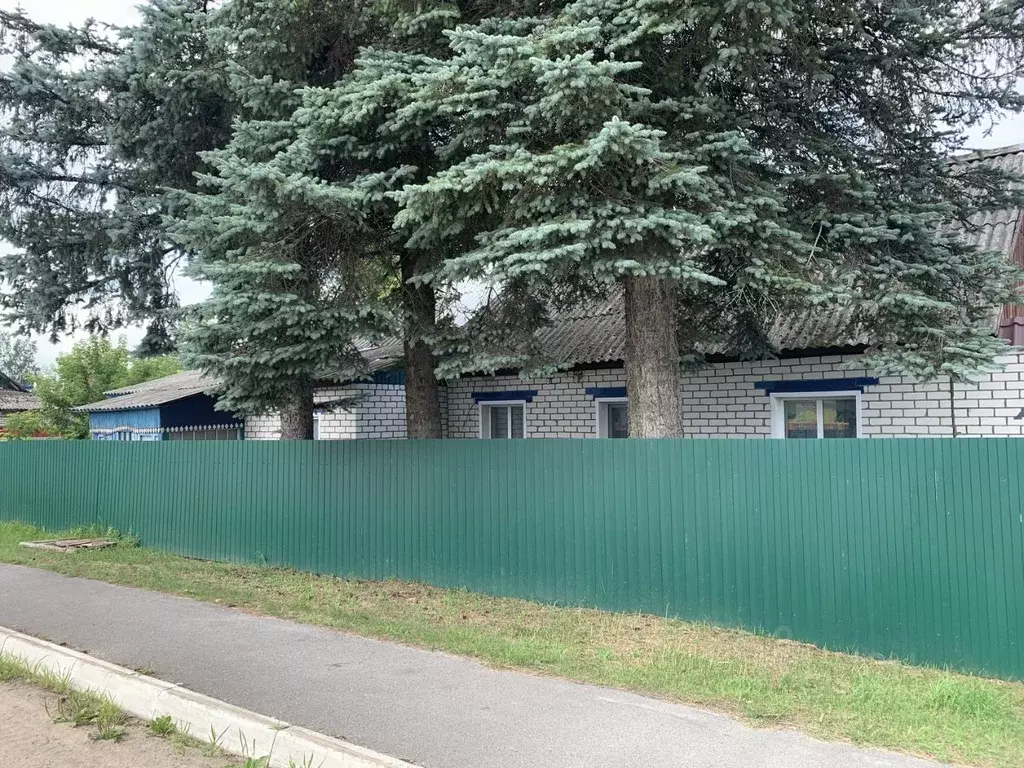 Дом в Брянская область, Жуковка пер. Некрасова (140 м) - Фото 2