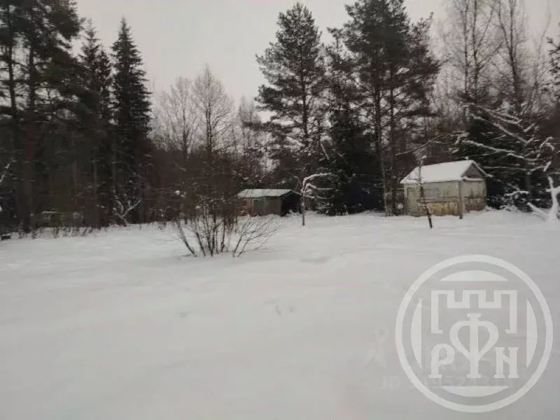Участок в Ленинградская область, Ломоносовский район, Пениковское ... - Фото 1