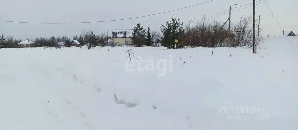 Участок в Пермский край, Чернушка Приуралье СНТ,  (8.8 сот.) - Фото 0