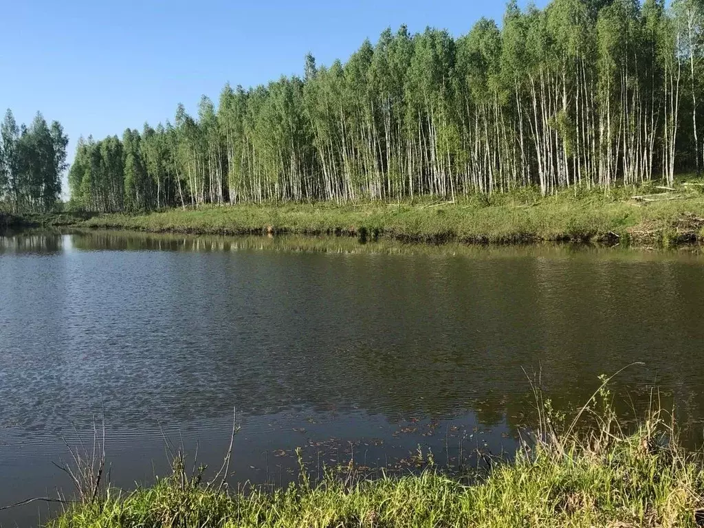 Участок в Московская область, Серпухов городской округ, с. Турово  ... - Фото 1
