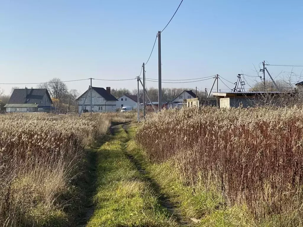 Участок в Калининградская область, Гурьевский муниципальный округ, ... - Фото 1