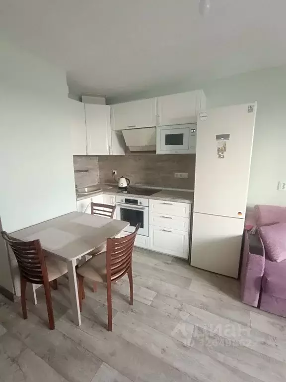 Студия Санкт-Петербург ул. Бабушкина, 84к2 (24.0 м) - Фото 1