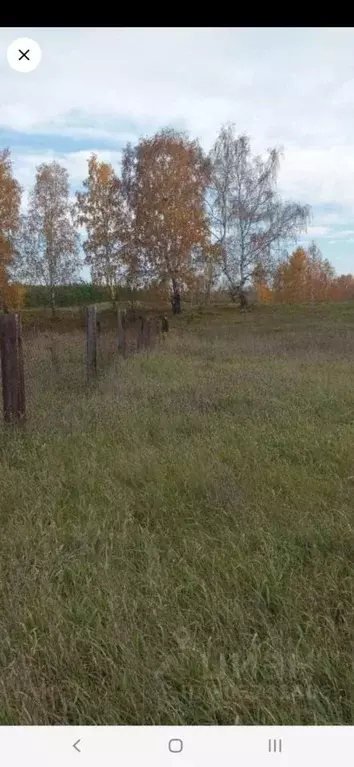 Участок в Алтайский край, Бийск городской округ, с. Фоминское ул. ... - Фото 1