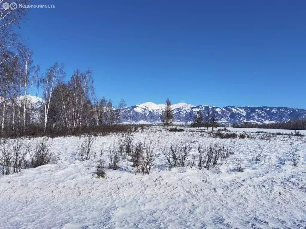 Участок в Усть-Коксинский район, посёлок Октябрьское (650 м) - Фото 1