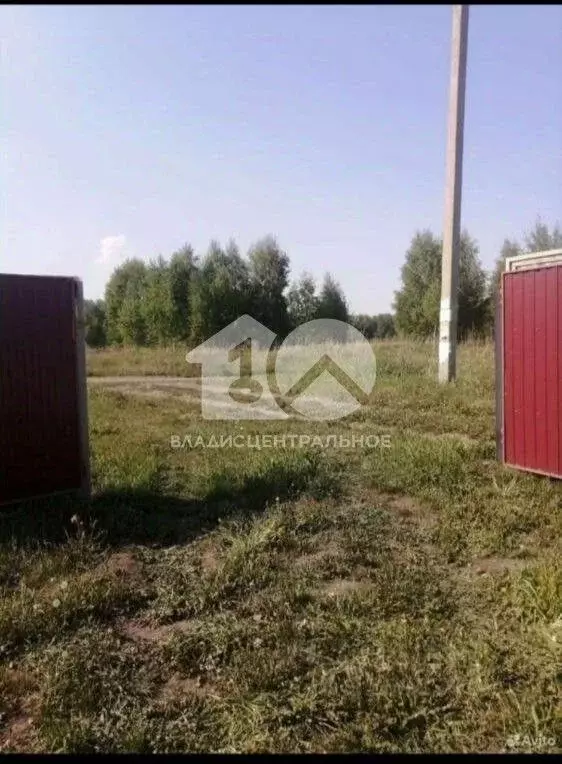 Участок в Новосибирская область, Мошковский район, Восток СНТ 21 (6.0 ... - Фото 2