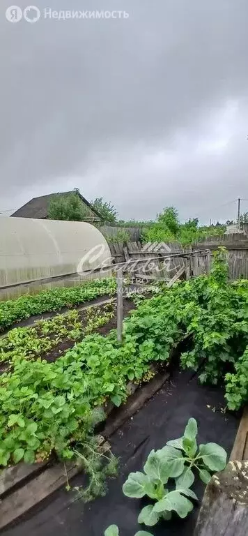 Дом в Падун, Первомайская улица, 10 (11 м) - Фото 0
