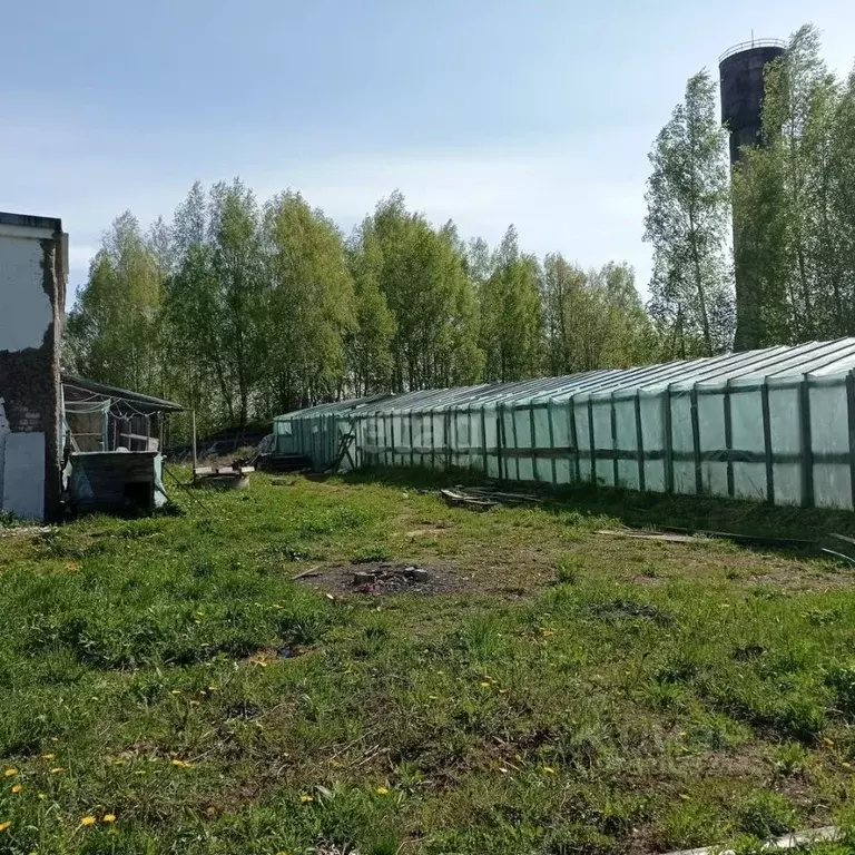 Участок в Костромская область, Костромской район, Бакшеевское с/пос, ... - Фото 2