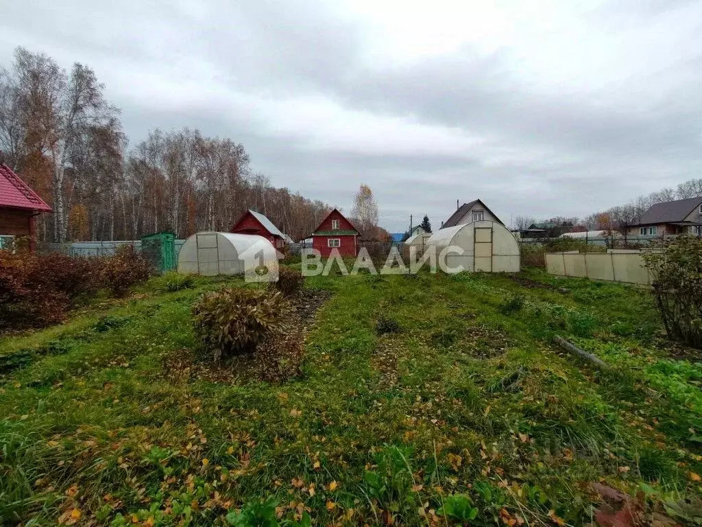 Участок в Новосибирская область, Новосибирск Любитель садоводческое ... - Фото 1