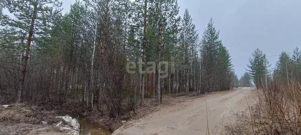 Участок в Коми, Сыктывкар городской округ, Верхняя Максаковка пгт 4-я ... - Фото 0