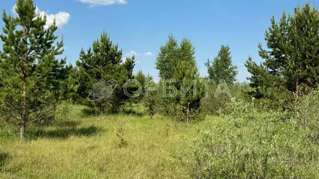 Участок в Тюменская область, Тюменский район, с. Салаирка  (903.0 ... - Фото 0