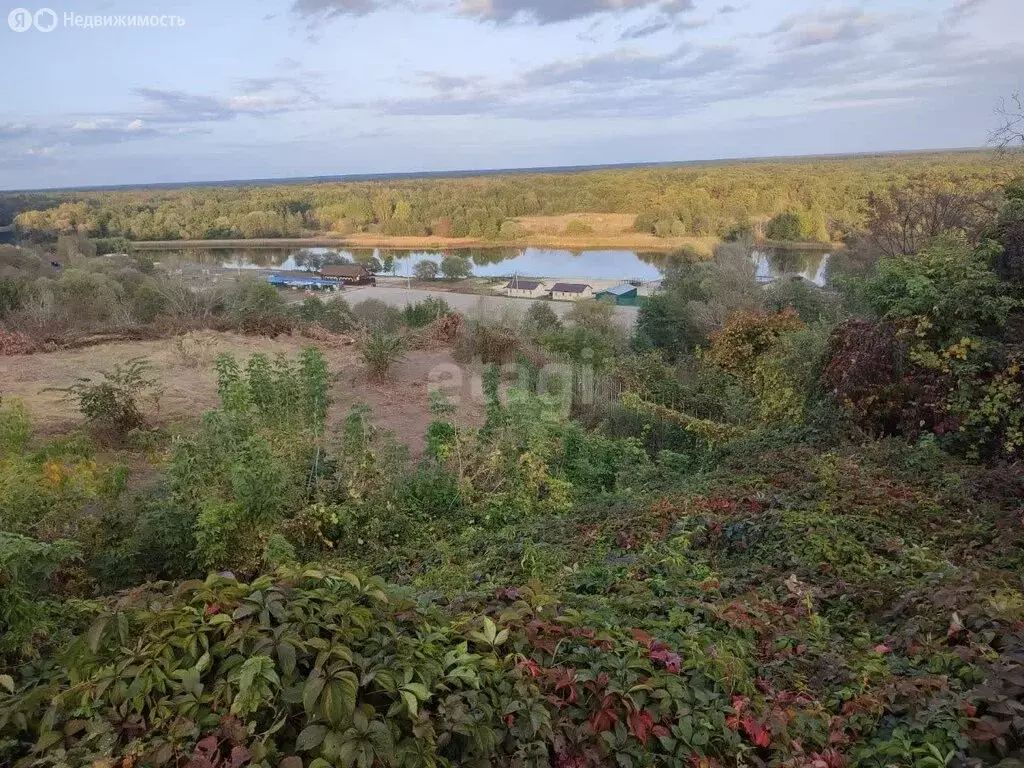 Участок в село Чертовицы, Нагорная улица (10 м) - Фото 0