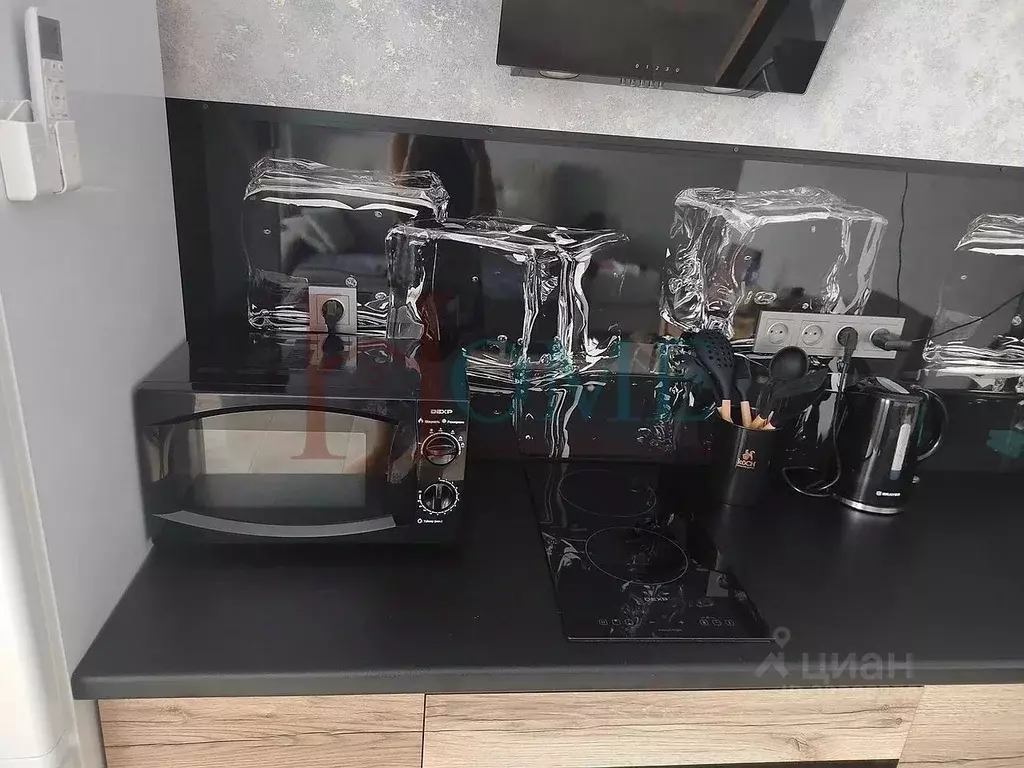 Студия Новосибирская область, Новосибирск Выборная ул., 133/1 (29.0 м) - Фото 2