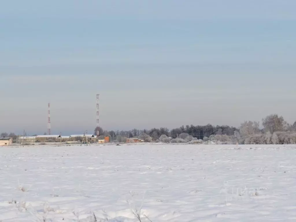 Участок в Московская область, Шаховская муниципальный округ, с. Белая ... - Фото 1