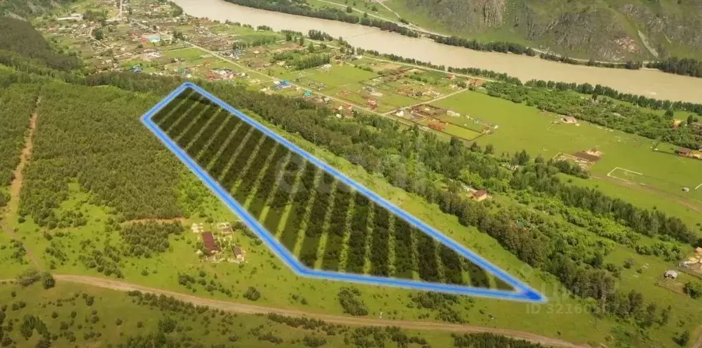 Участок в Алтай, Чемальский район, с. Анос  (10.86 сот.) - Фото 1