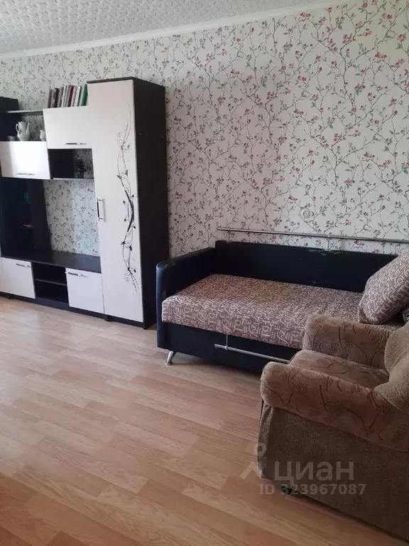 1-к кв. Курская область, Курск ул. Радищева, 64 (31.0 м) - Фото 2