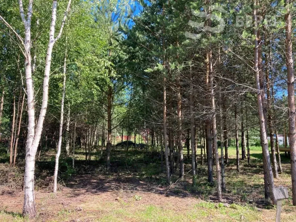 Участок в Ленинградская область, Всеволожский район, Рахьинское ... - Фото 0