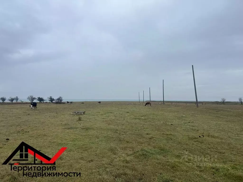 Участок в Севастополь Лукулл садоводческое товарищество, 206 (5.0 ... - Фото 2