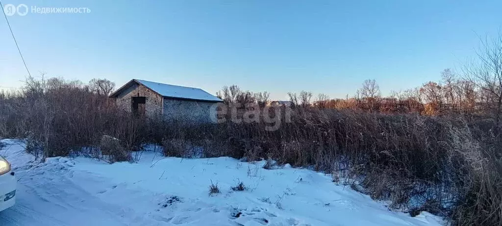 Участок в Амурская область, Благовещенский муниципальный округ, село ... - Фото 1