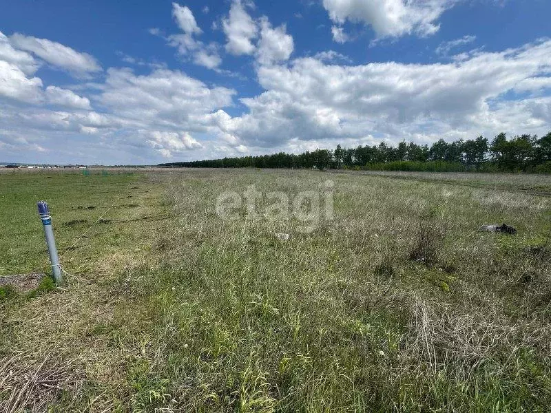 Участок в Белгородская область, Белгородский район, Крутологское ... - Фото 1