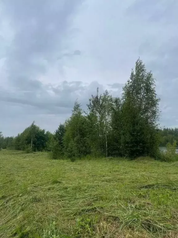 Участок в Московская область, Павлово-Посадский городской округ, д. ... - Фото 2