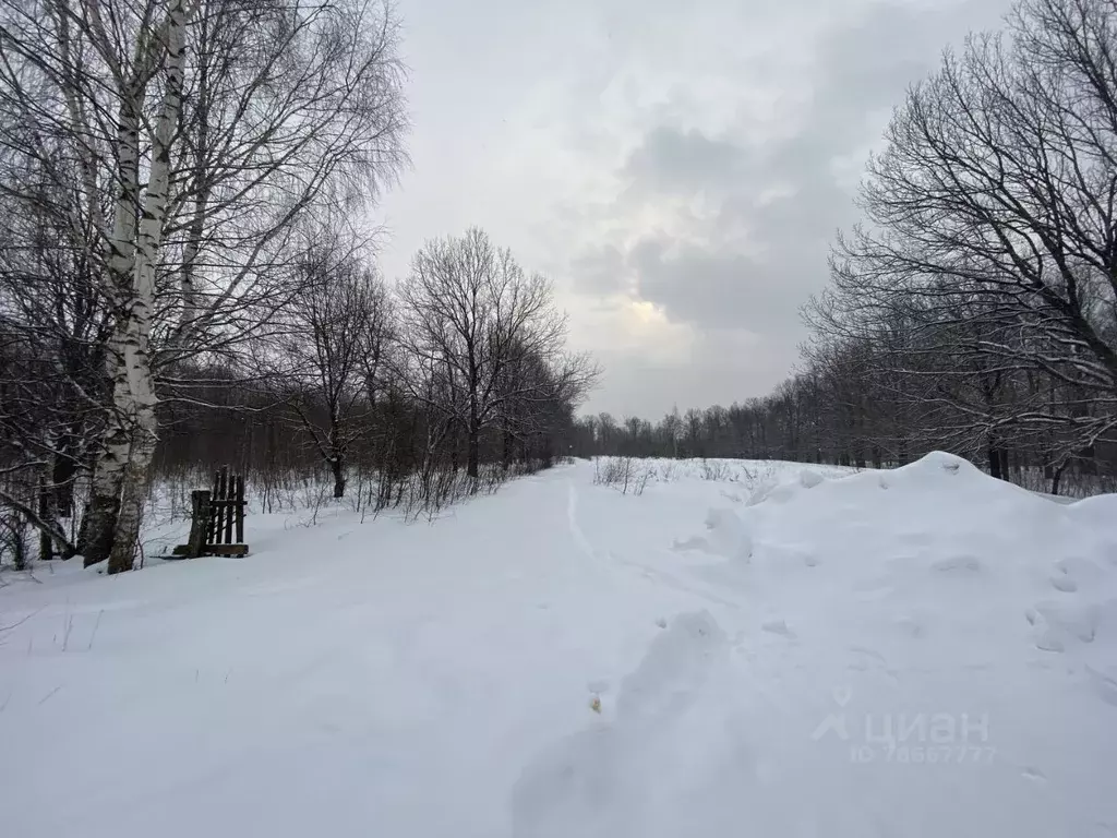 Купить Участок В Большом Козино Балахнинский