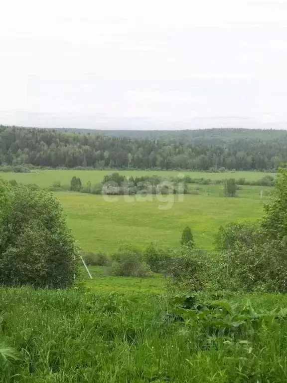 Участок в Кемеровская область, Кемеровский муниципальный округ, д. ... - Фото 0