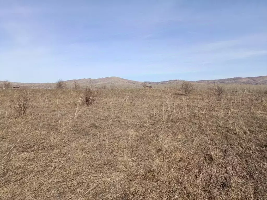 Участок в Алтай, Майминский район, с. Подгорное  (6.0 сот.) - Фото 1