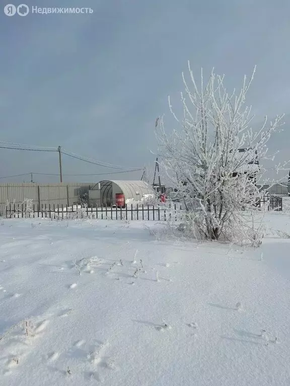 Участок в Емельяновский район, Устюгский сельсовет, дачное ... - Фото 0