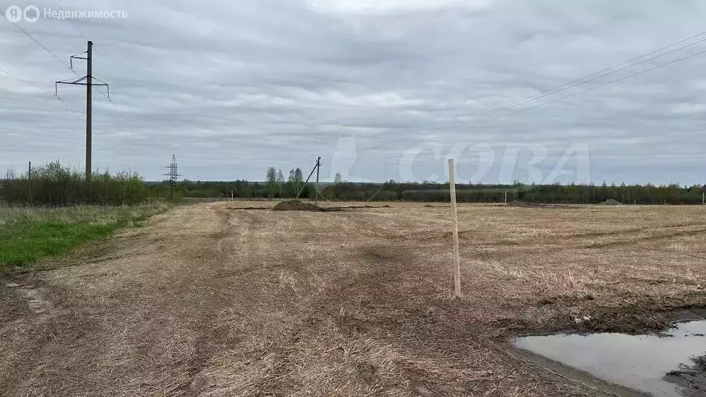 Участок в Свердловская область, Тугулымский муниципальный округ, ... - Фото 1