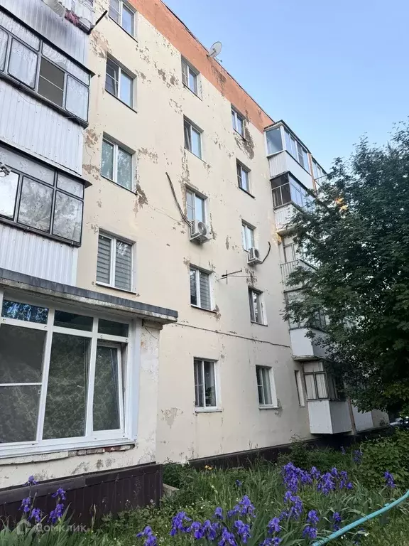 Продаётся 1-к квартира, 28.2 м - Фото 1