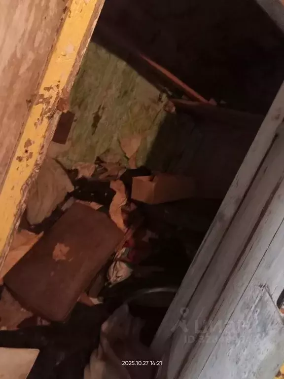 Свободной планировки кв. Пермский край, Очер ул. Урицкого, 35 (23.9 м) - Фото 2