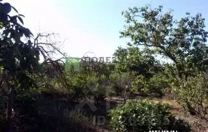 Участок в Севастополь Парус СТ, 7 (8.0 сот.) - Фото 2