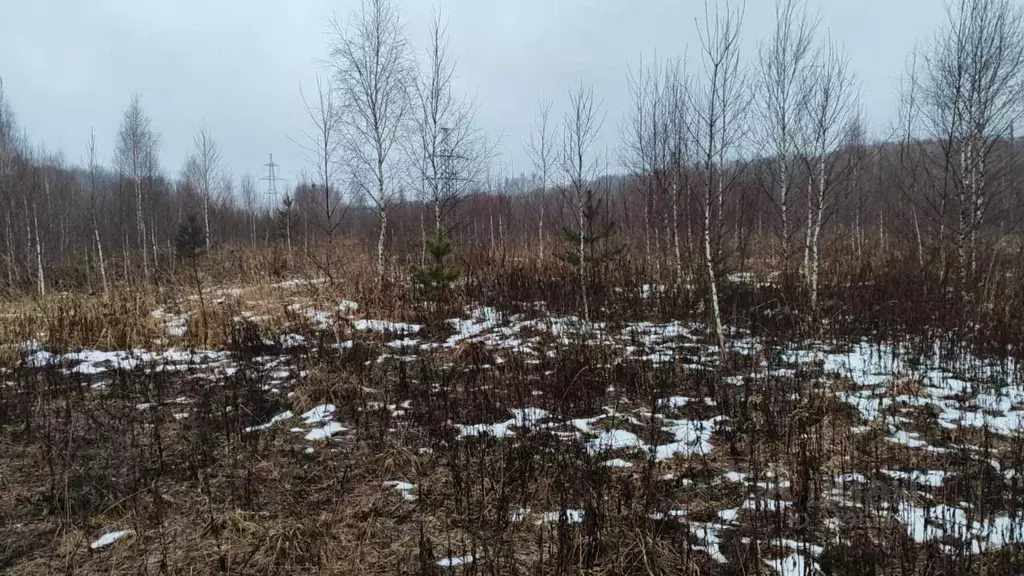 Участок в Московская область, Домодедово городской округ, с. ... - Фото 1